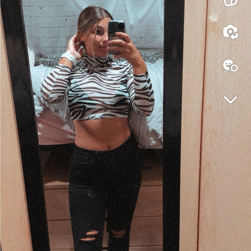 Shein Mesh Zebra Print Long Sleeve